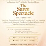 The Saree Spectacle